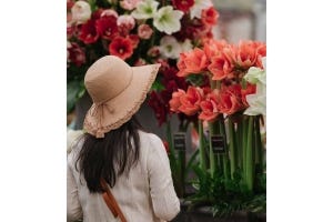 Women wearing a hat, admiring flowers at the Chelsea Flower Show