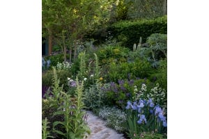 Footpath among the flowers in the Chelsea Flower Show