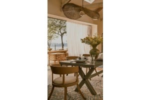 A yellow dining room with plants on the table.