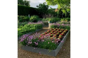 Terry Winter's garden