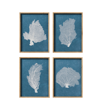 Set of 4 Skeleton Coral Prints - Blue/White