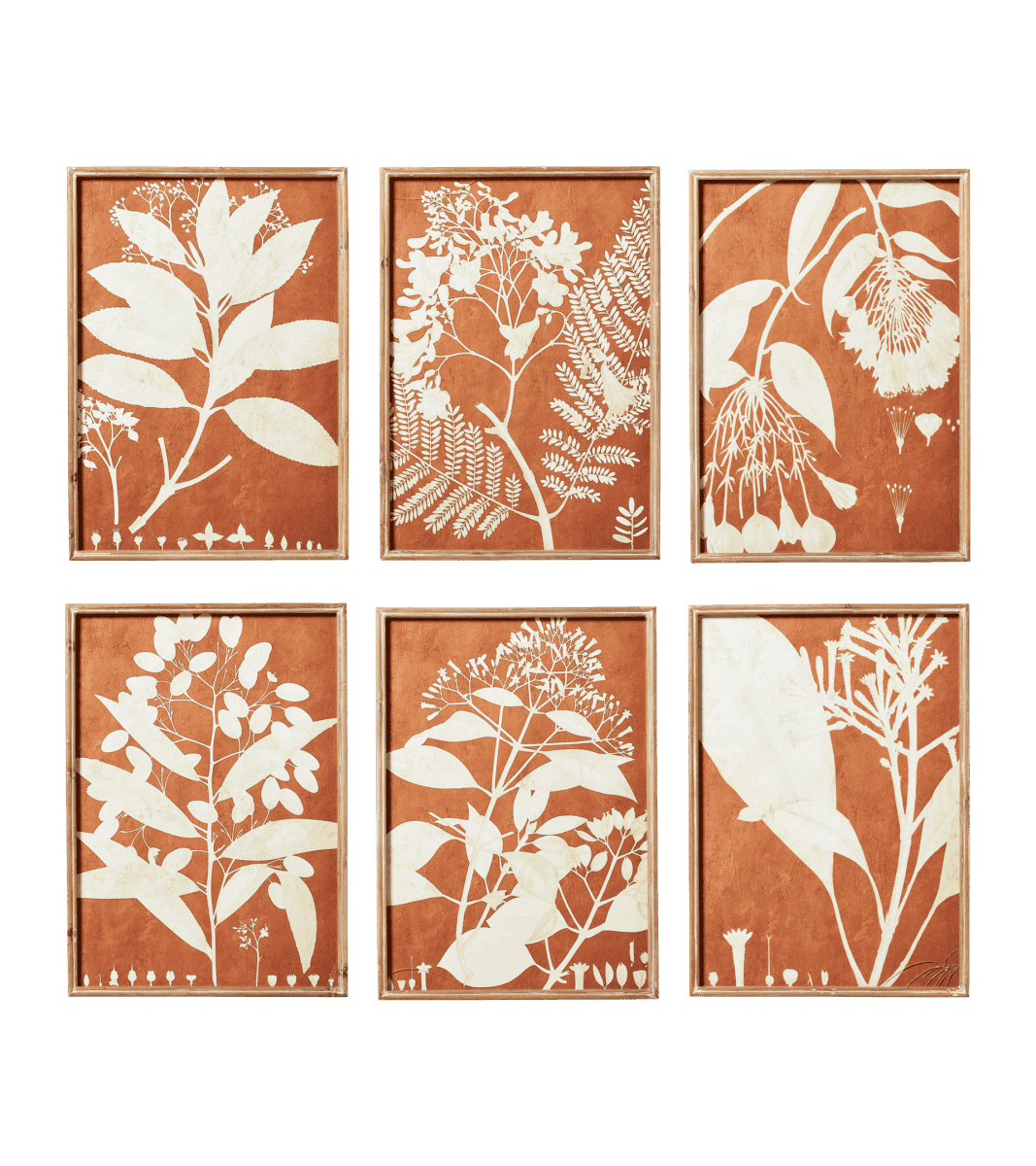 Set of Twelve Framed Pressed Flower Prints - Natural