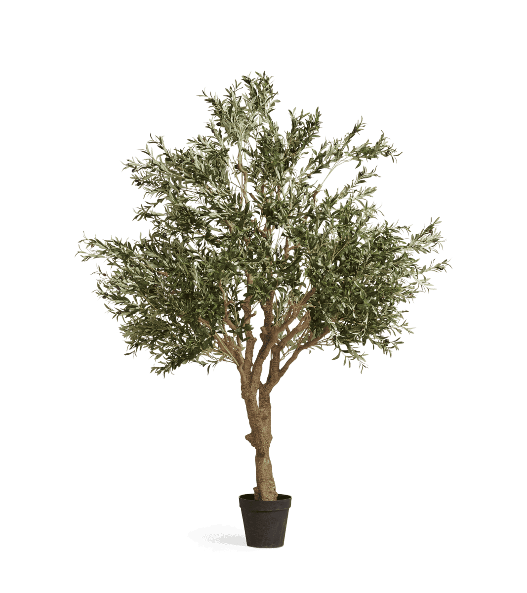 Extra Large Faux Potted Olive Tree