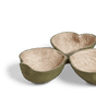 Amaryllis Seed Pod Dish- Light Green