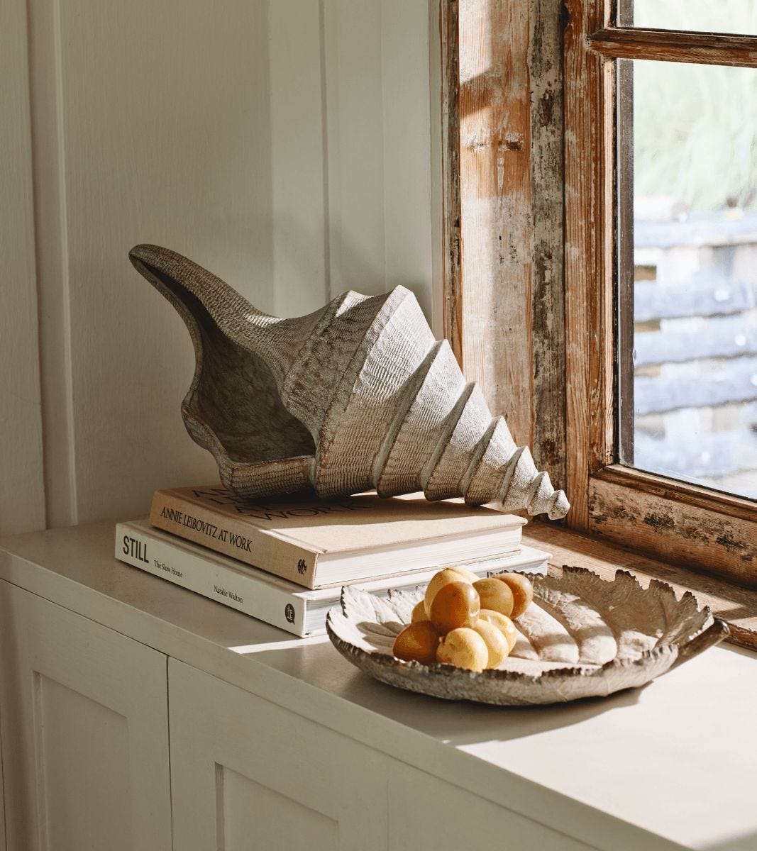 Shell Decor 