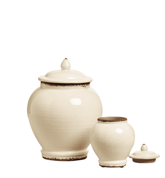 Zion Lidded Urns Set of 2 - Distressed White