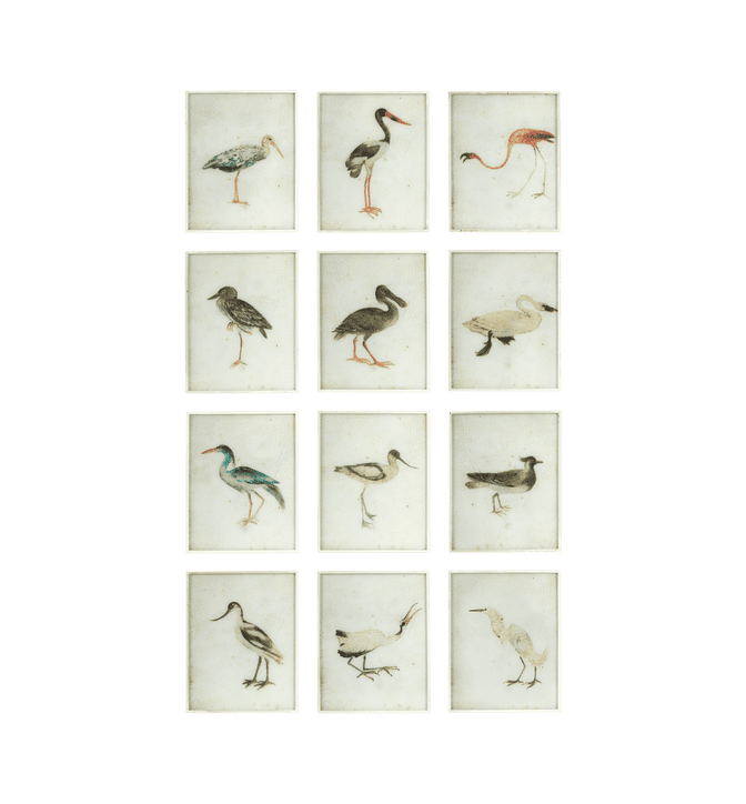 Set of Twelve Bird Paintings - Multi