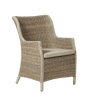 Braunton Dining Chair - Bark