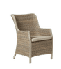 Braunton Dining Chair - Bark