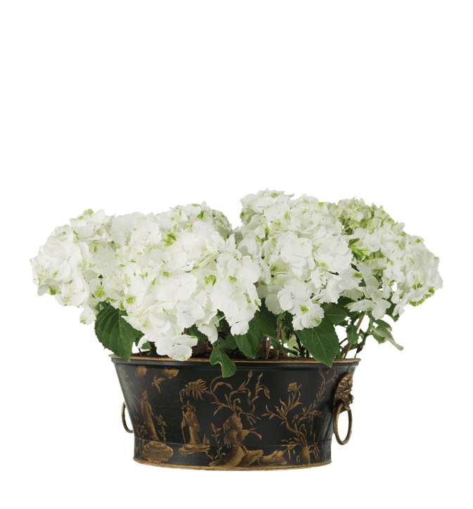 Chinoiserie Planter, Large