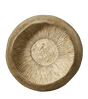 Decorative Field Blewitt Mushroom Bowl - Brown