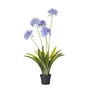 Faux Agapanthus Plant - Purple