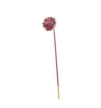 Faux Allium Cristophii Stem - Purple