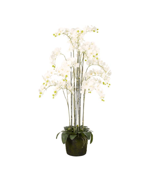 Faux Giant Phalaenopsis Orchid - White