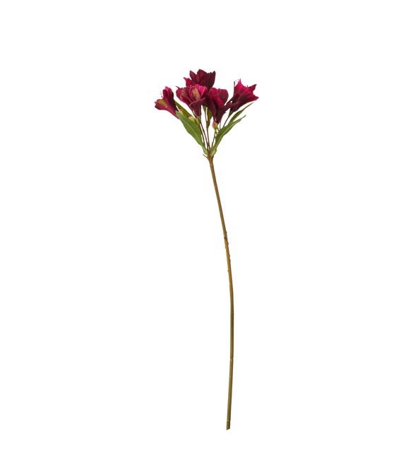 Faux Lily of the Incas Stem - Burgundy