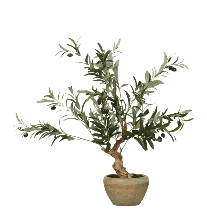 Faux Miniature Olive Tree - Black