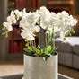 Faux Planted Phalaenopsis Orchid, Small - White