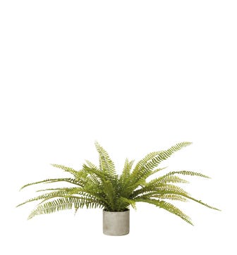 Faux Potted Fern Plant - Green