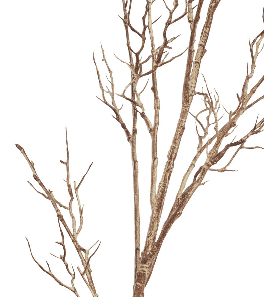 Faux Twig Branch - Natural