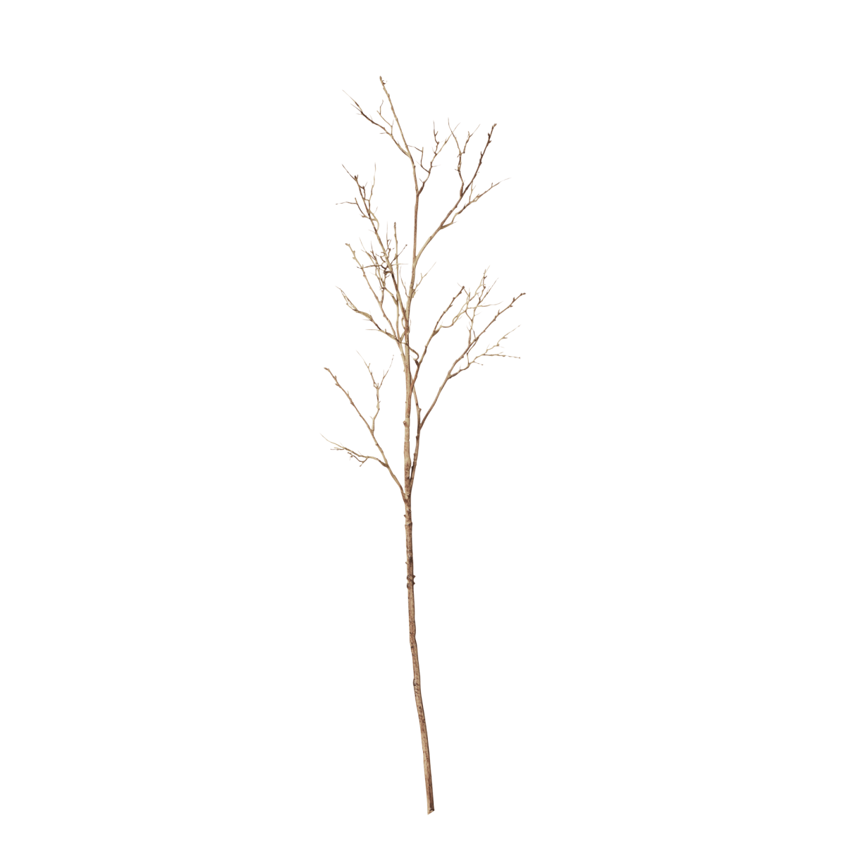 Faux Twig Branch - Natural