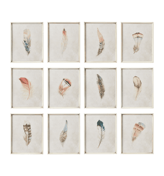Feather Prints Set of 12 - Multi