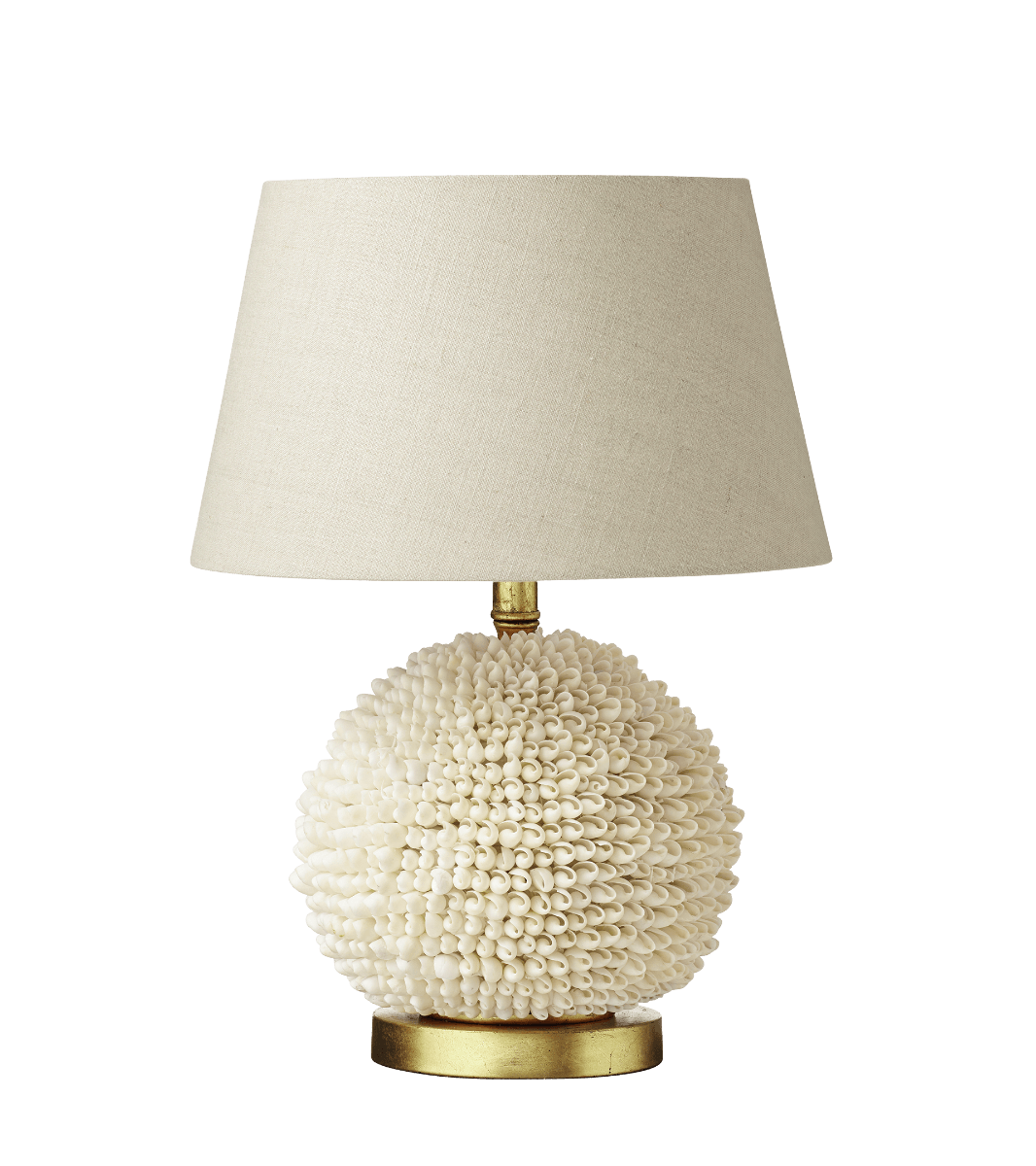 Puka outlet shell lamp