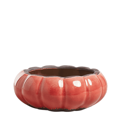 Kolokythi Wide Decorative Bowl - Coral
