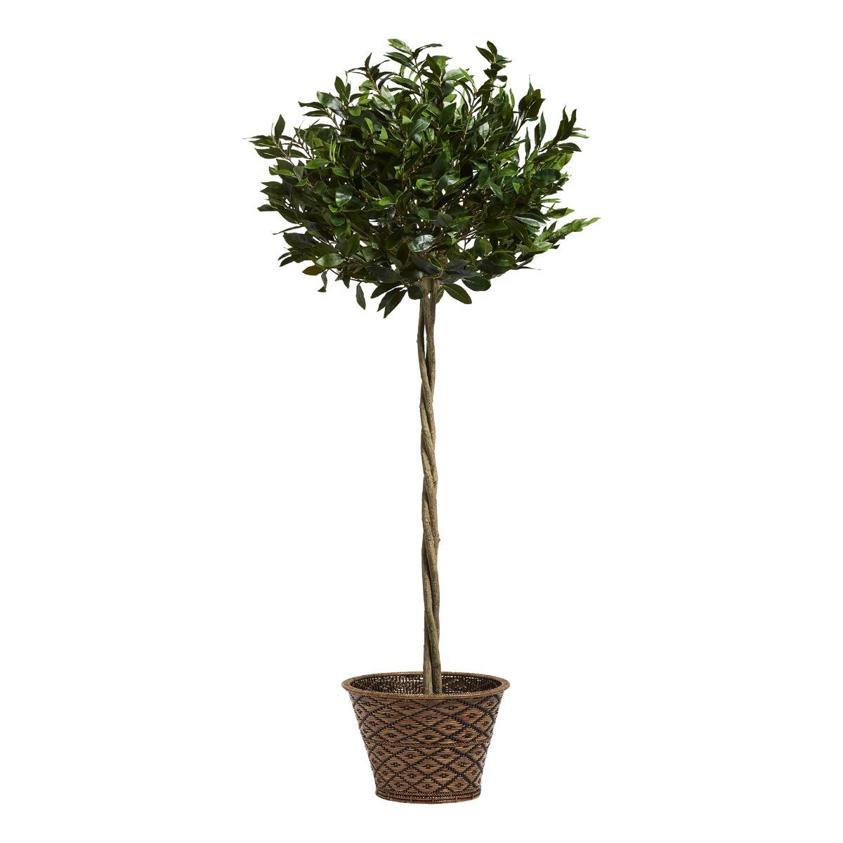 Oka Large Faux Bay Tree - Green In Brown