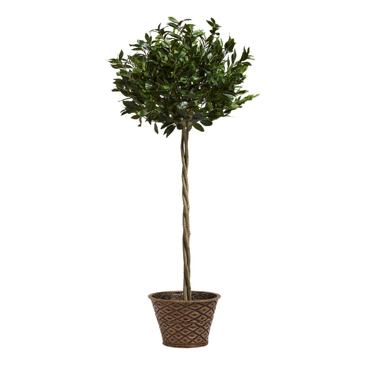 Oka Large Faux Bay Tree - Green