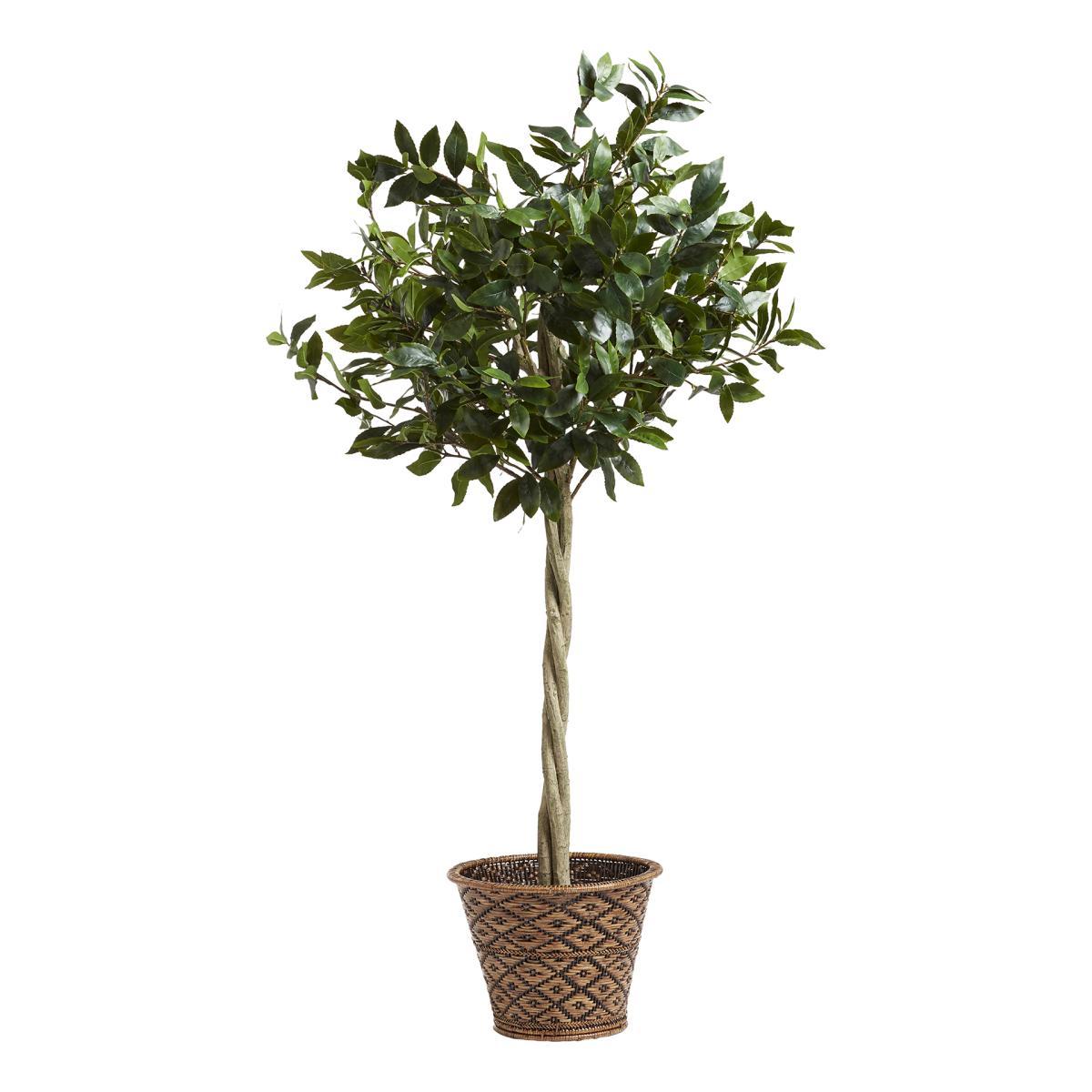 Oka Medium Faux Bay Tree - Green