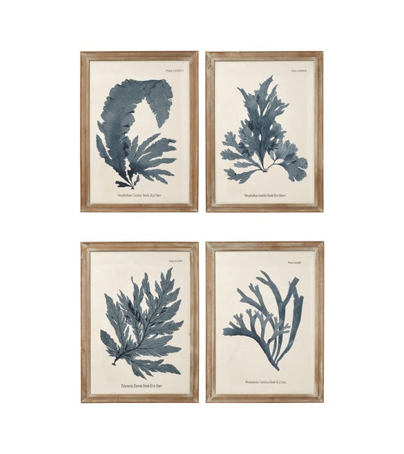 Seaweed Framed Prints, Set of 4 - Blue