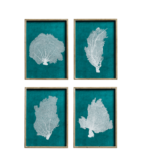 Set of Four Skeleton Coral Prints - Green/White