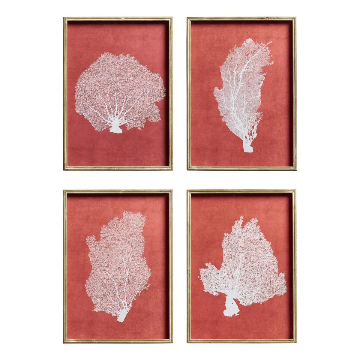 Set of Four Skeleton Coral Prints - Red/White