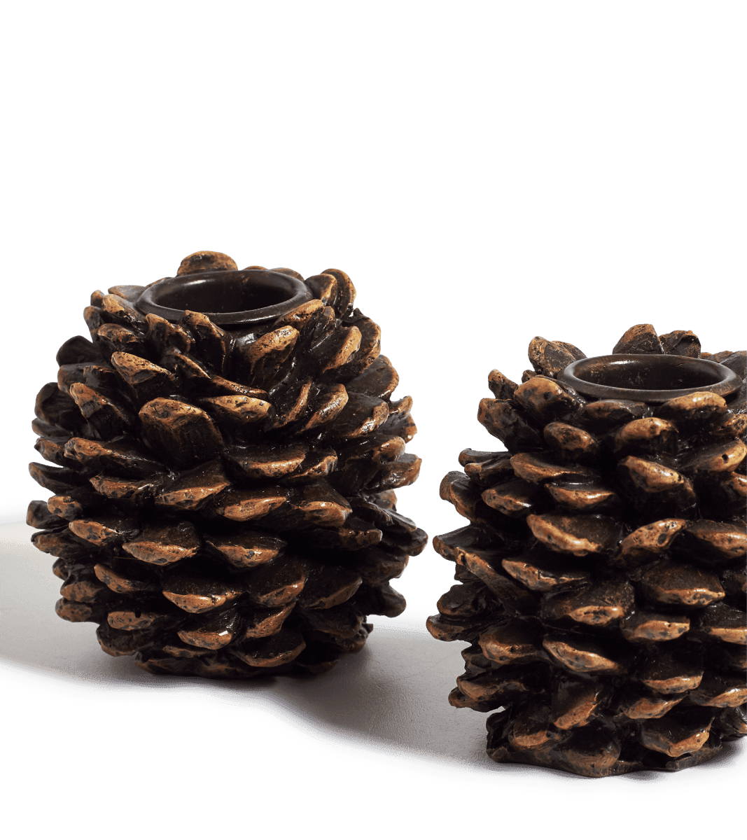 Small Pine Cones