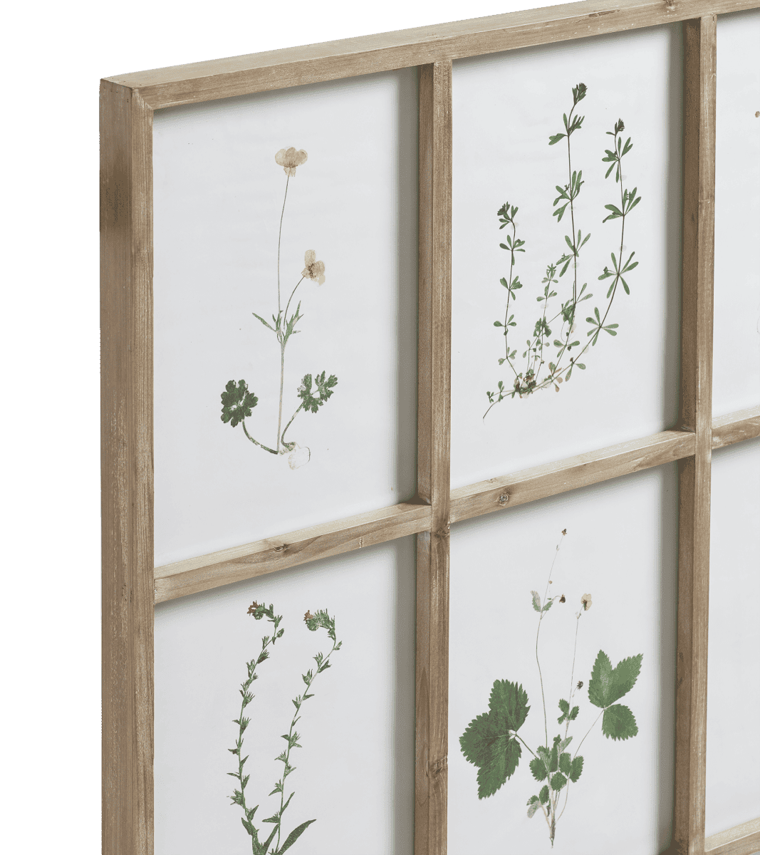 Pressed Flower Art Frame — My Moonstone Kitchen