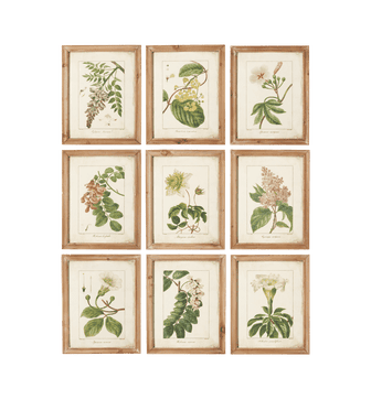 Summer Garden Framed Prints, Set of 9 - Brown