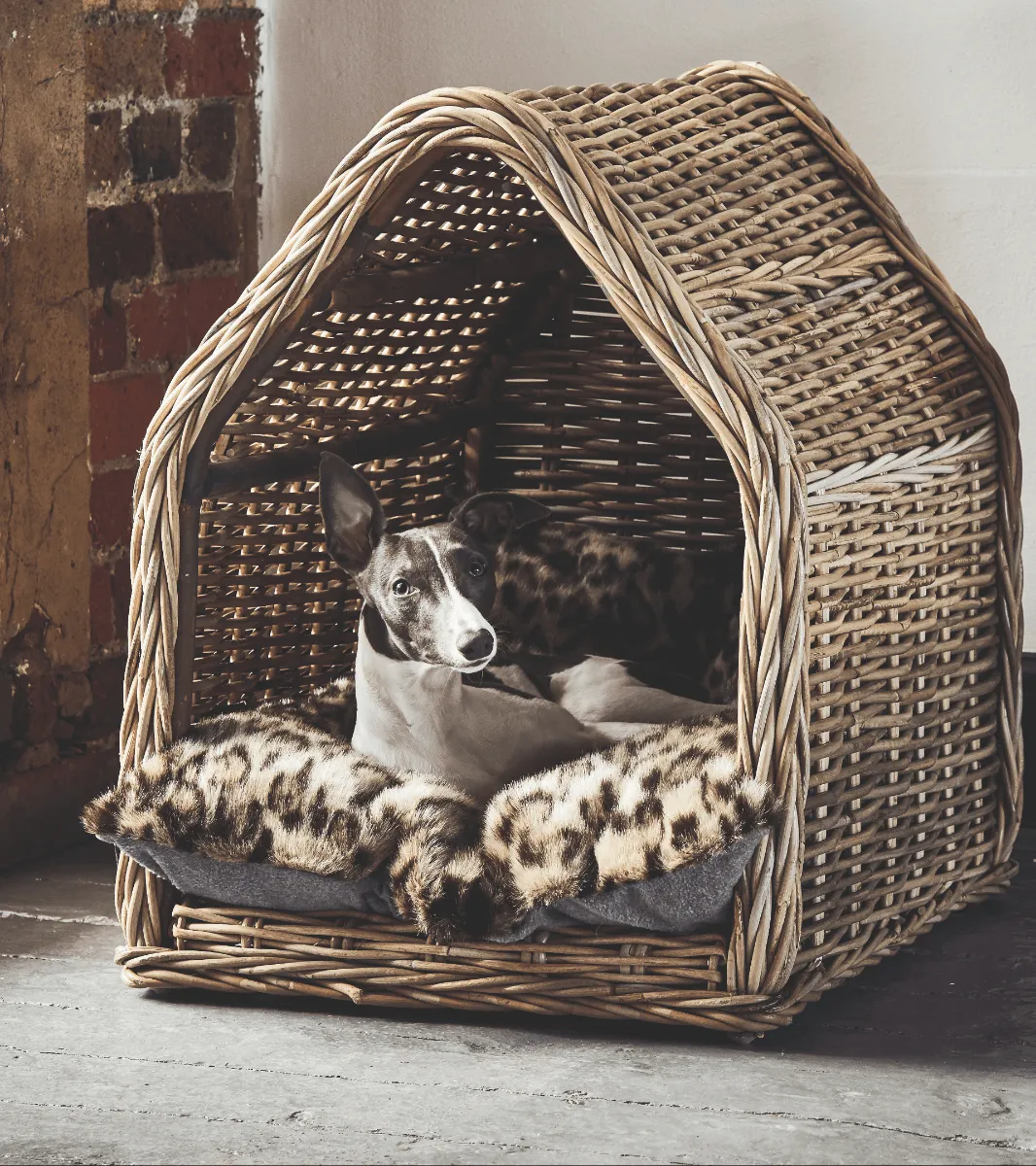 Patiner Rattan Dog Bed Small Stone Grey OKA