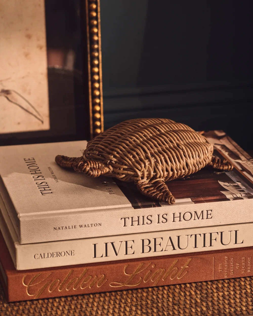 Rattan: Everything You’ve Ever Wanted To Know 