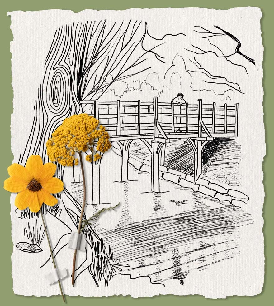 An illustration of Pooh Bridge in Ashdown Forest