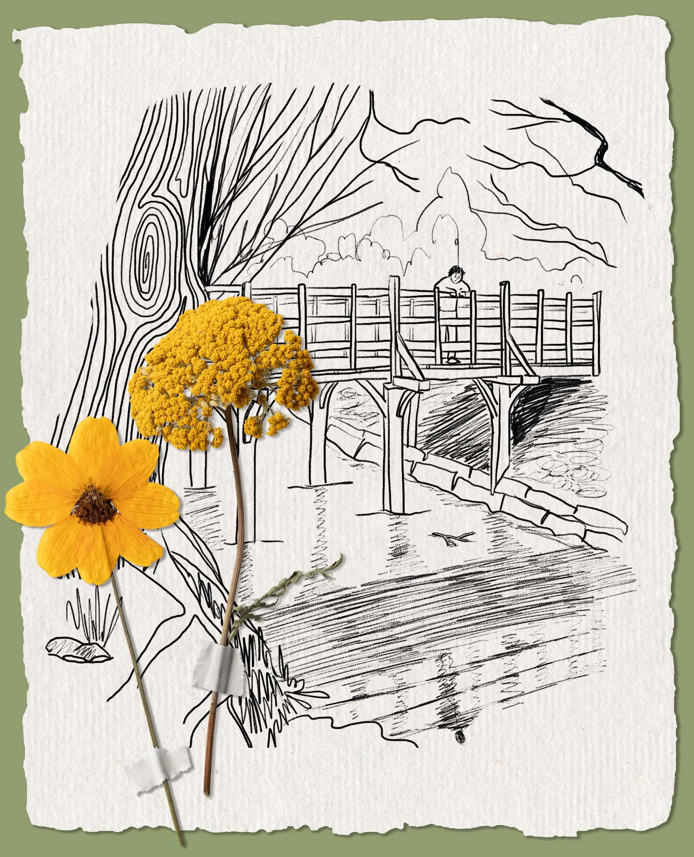 An illustration of Pooh Bridge in Ashdown Forest