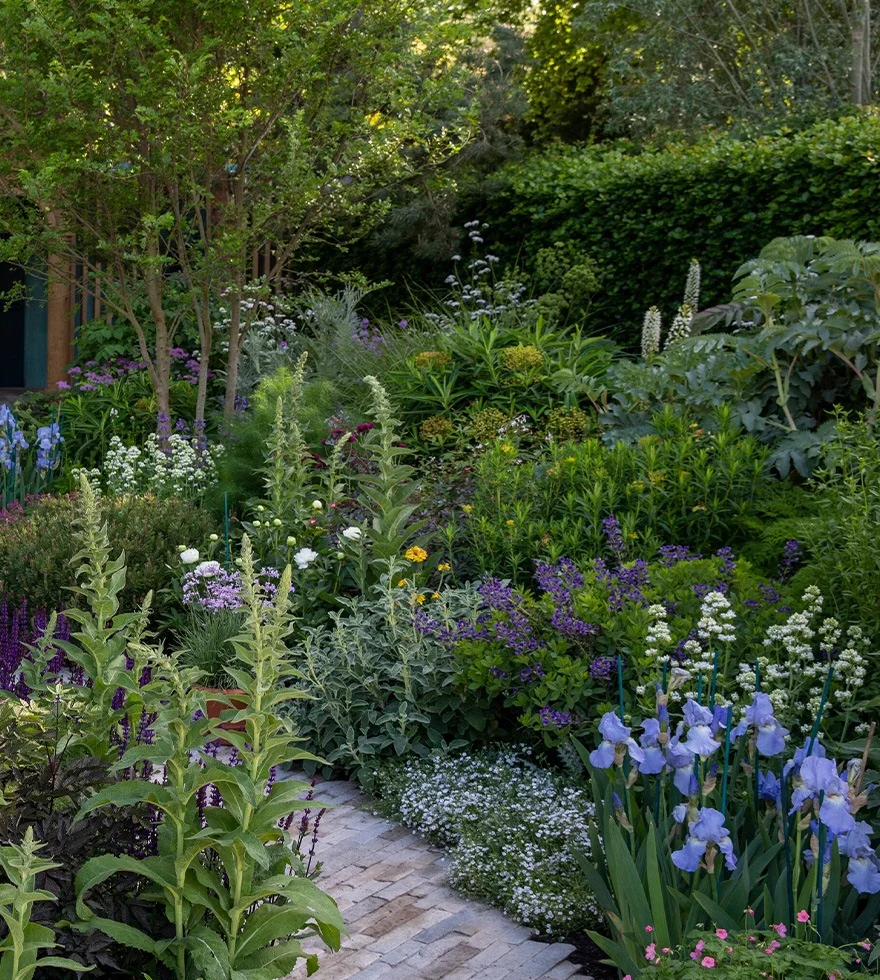 Footpath among the flowers in the Chelsea Flower Show