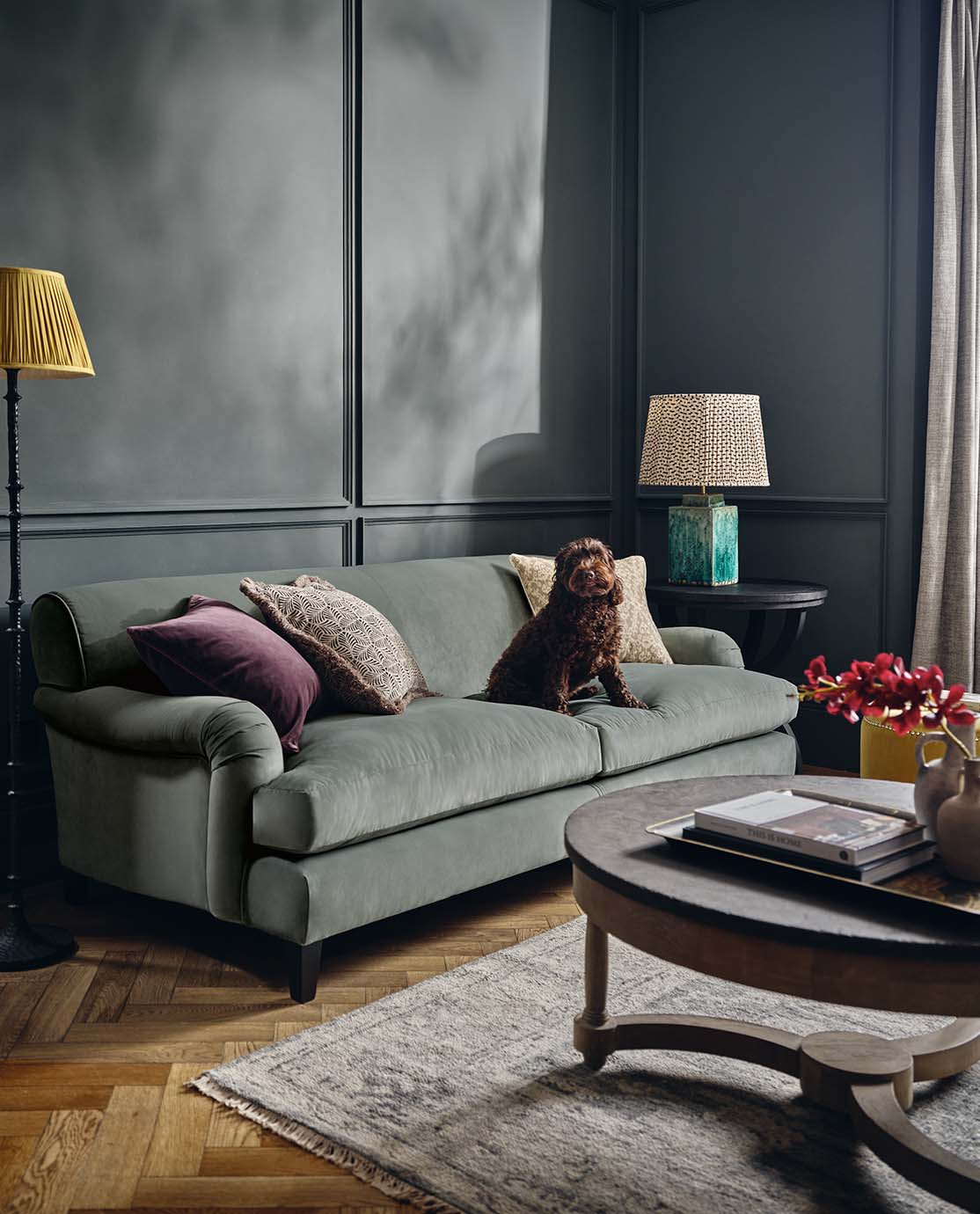 A brown dog sits on a light grey Clever Velvet sofa