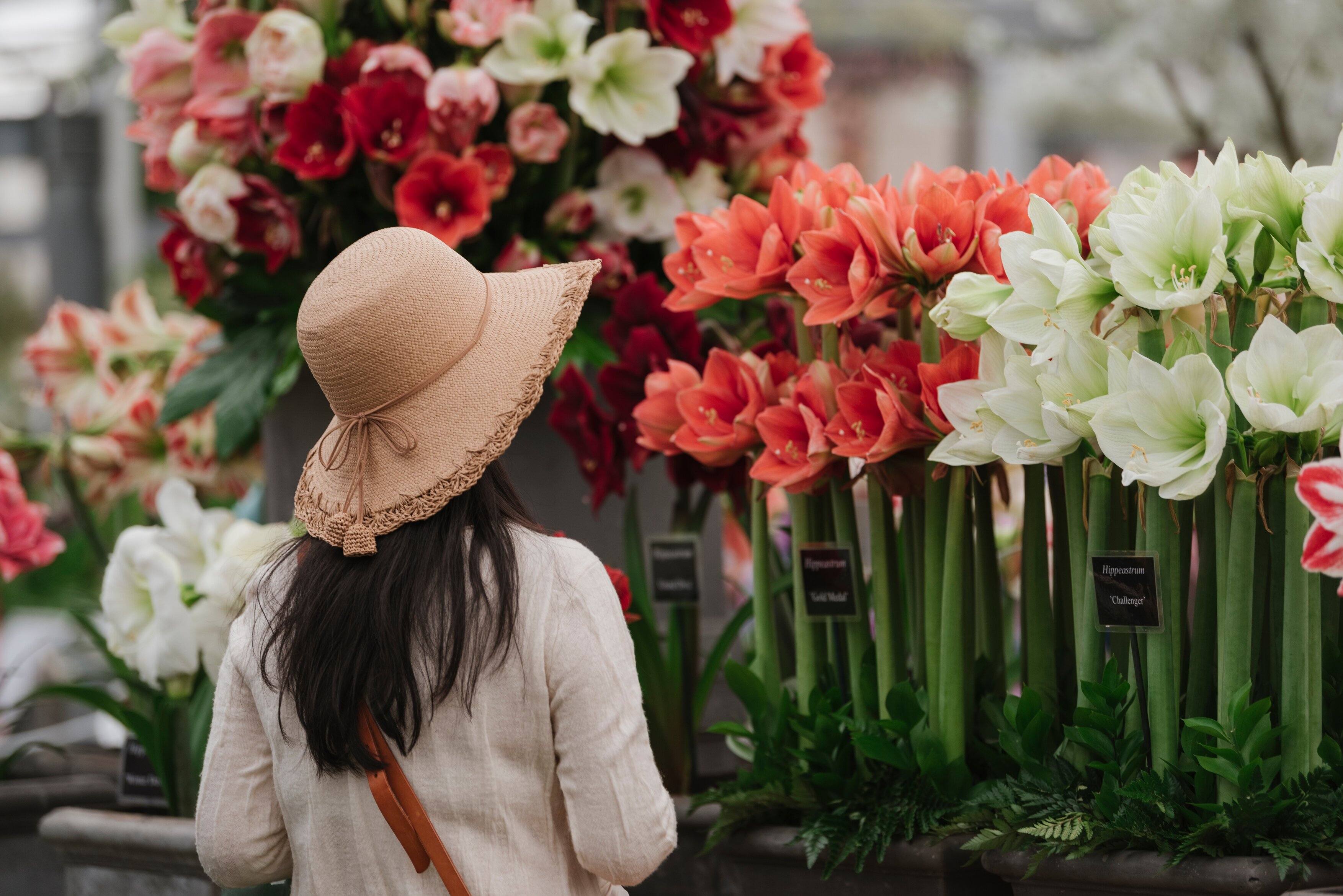 Woman wearing a straw hat, admiring flowers at the Chelsea Flower Show