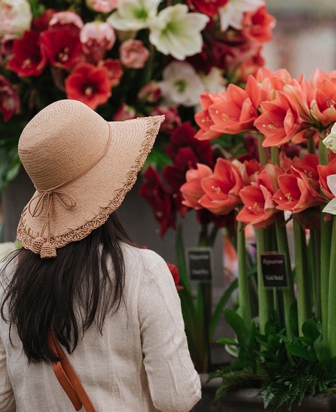 Woman wearing a straw hat, admiring flowers at the Chelsea Flower Show