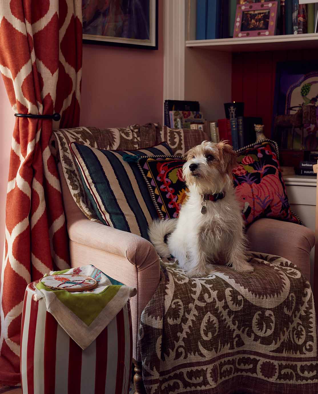 Eppie Thompson's dog sat on an armchair covered in printed blankets and cushions, surrounded by colour and pattern