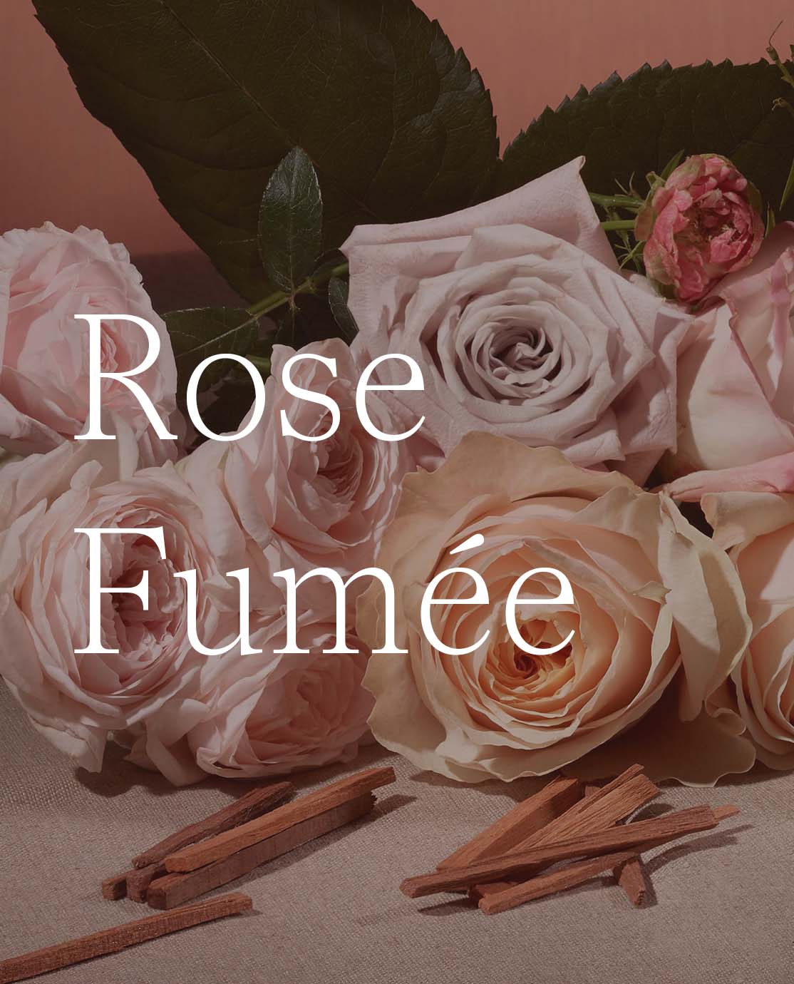 Rose Fumee written in white across a close-up of pink flowers and cinnamon sticks