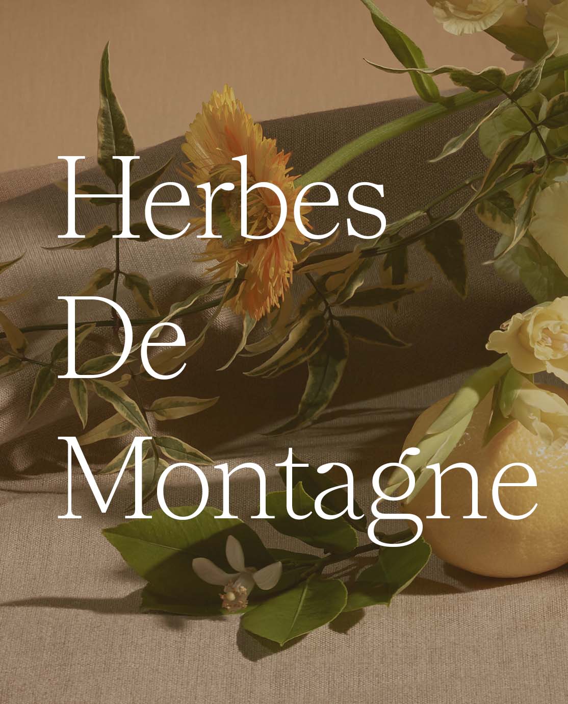 Herbes De Montagne written in white across a close-up of yellow flowers