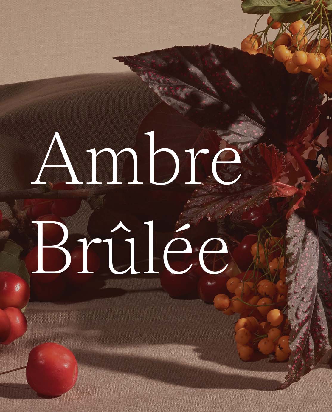 Ambre Brulee written in white font across a close-up of red berries