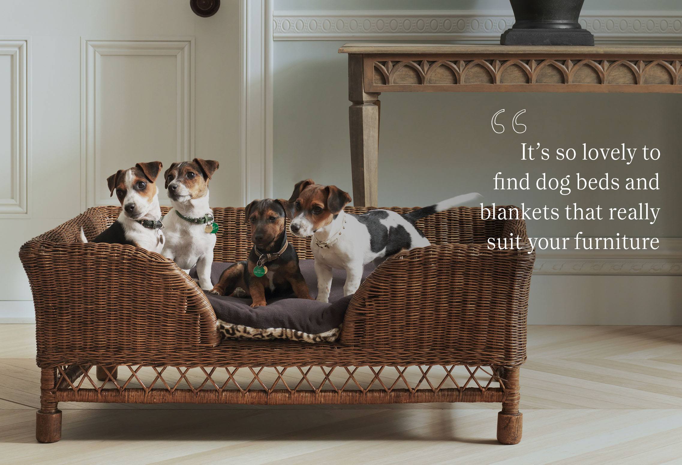 The Manhattan Pet bed featuring a cluster of Jack Russell puppies, with a quote reading by Paula Sutton reading "Really these are a present for myself"