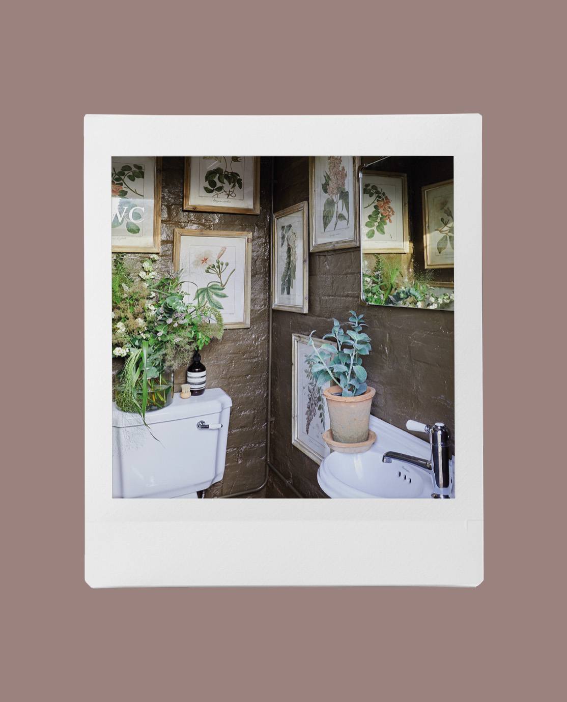 A small bathroom decorated with botanical prints and brown walls